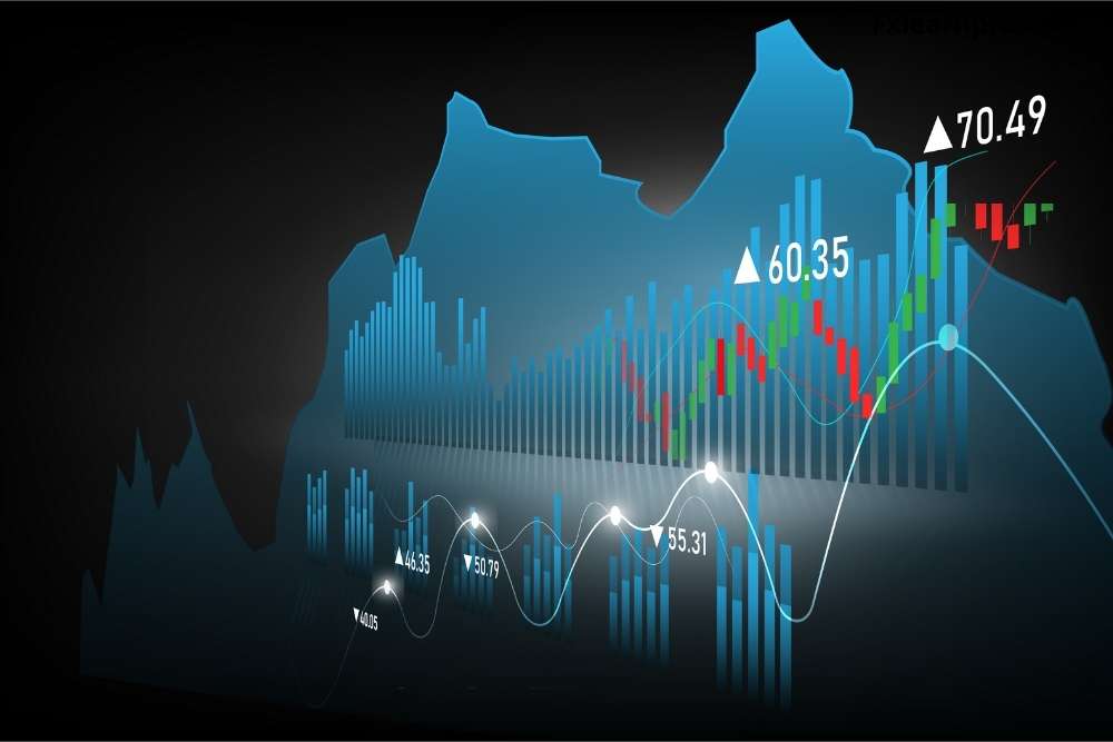 Importance of Pip in Forex Trading