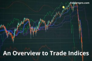 An Overview to Trade Indices