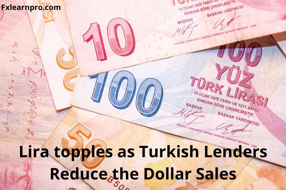Lira topples as Turkish Lenders Reduce the Dollar Sales