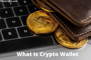 What is Crypto Wallet Find Your Best Crypto Wallet Here