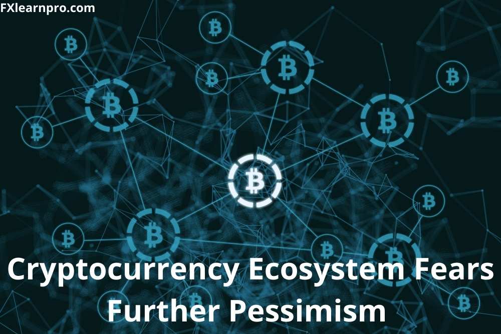 Cryptocurrency Ecosystem Fears Further Pessimism