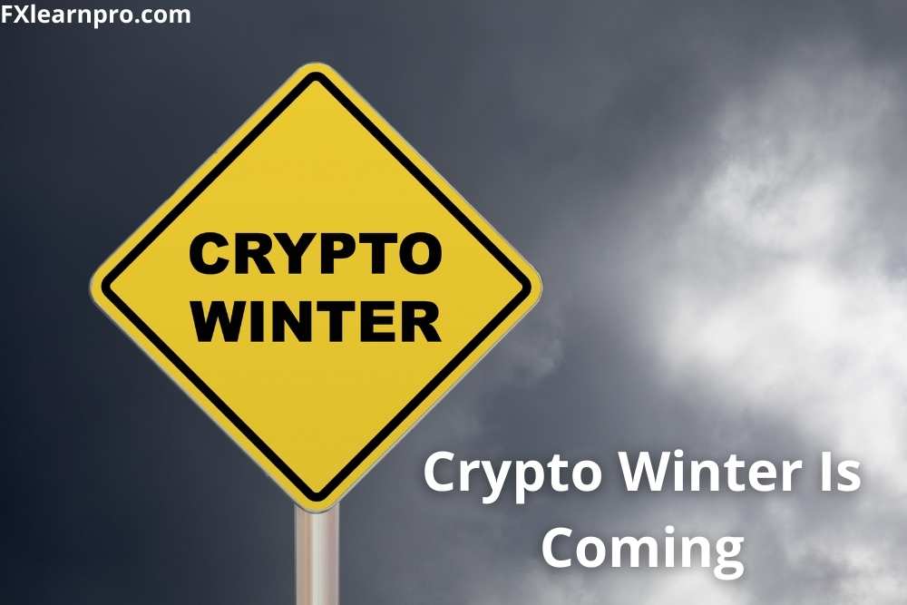 Crypto Winter is coming