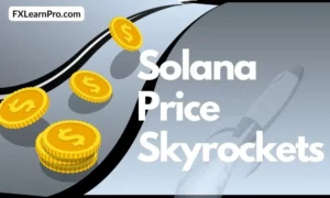 Solana price skyrockets